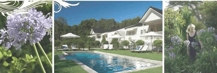 **The Kingscliff Seaside Guesthouse**