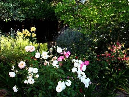 'The Gums' Bed & Breakfast