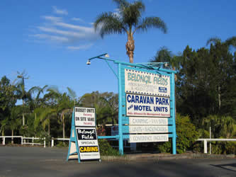 Belongil Fields
