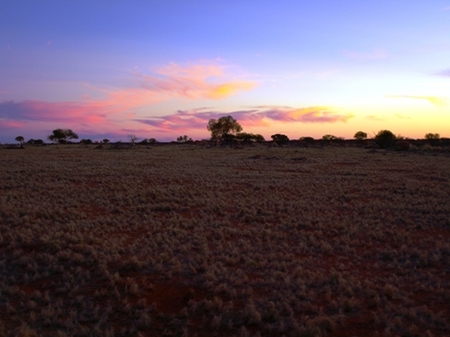 Wogarno Homestead