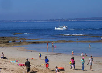 Queenscliff Tourist Park