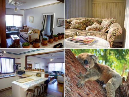 The Kosy Koala