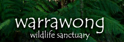 Warrawong Wildlife Park - Accommodation VIC