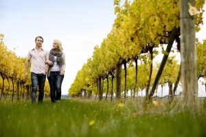Overnight Daylesford and Macedon Ranges Gourmet Food Trail Tour from Melbourne - Accommodation VIC