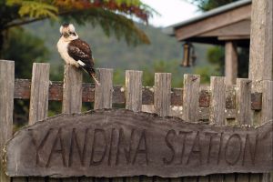 Yandina - Accommodation VIC